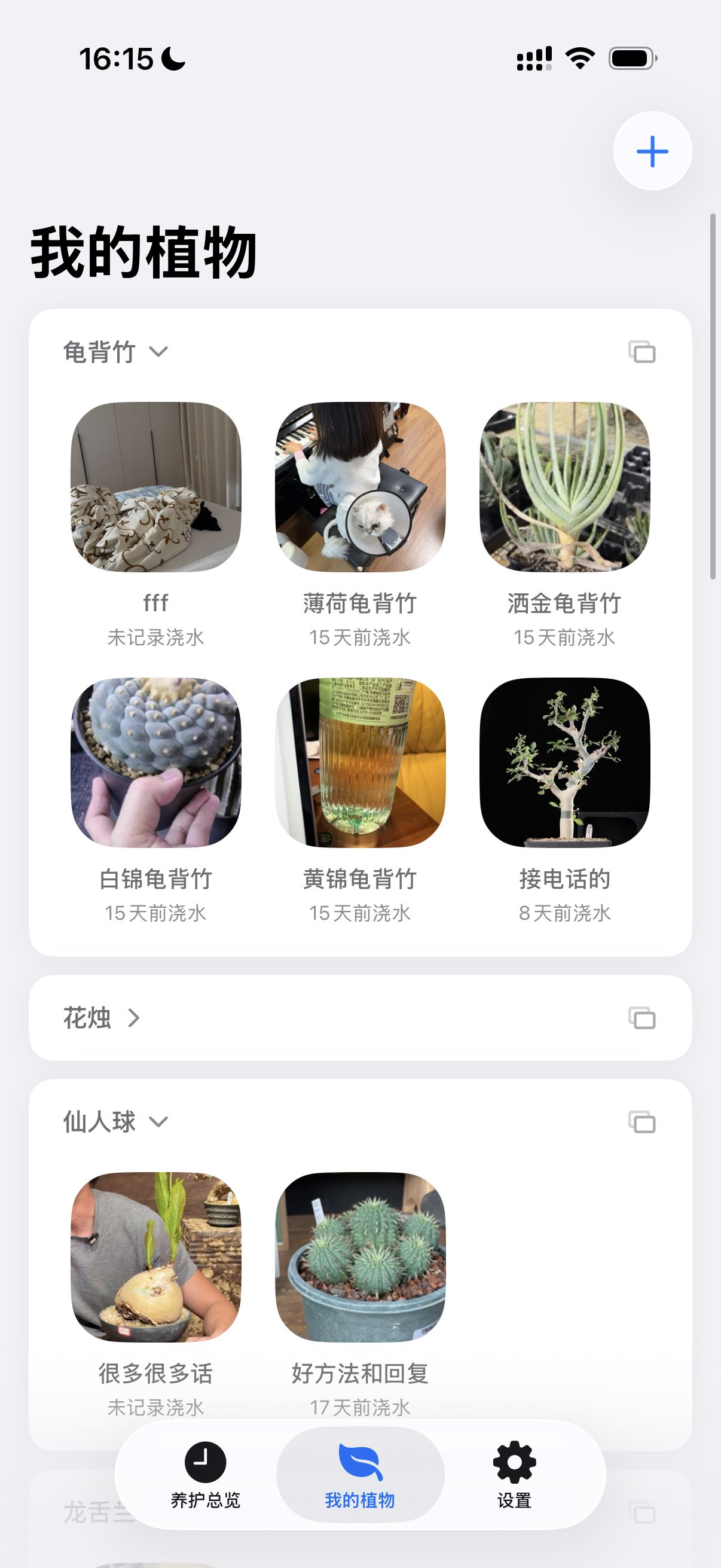 我的植物