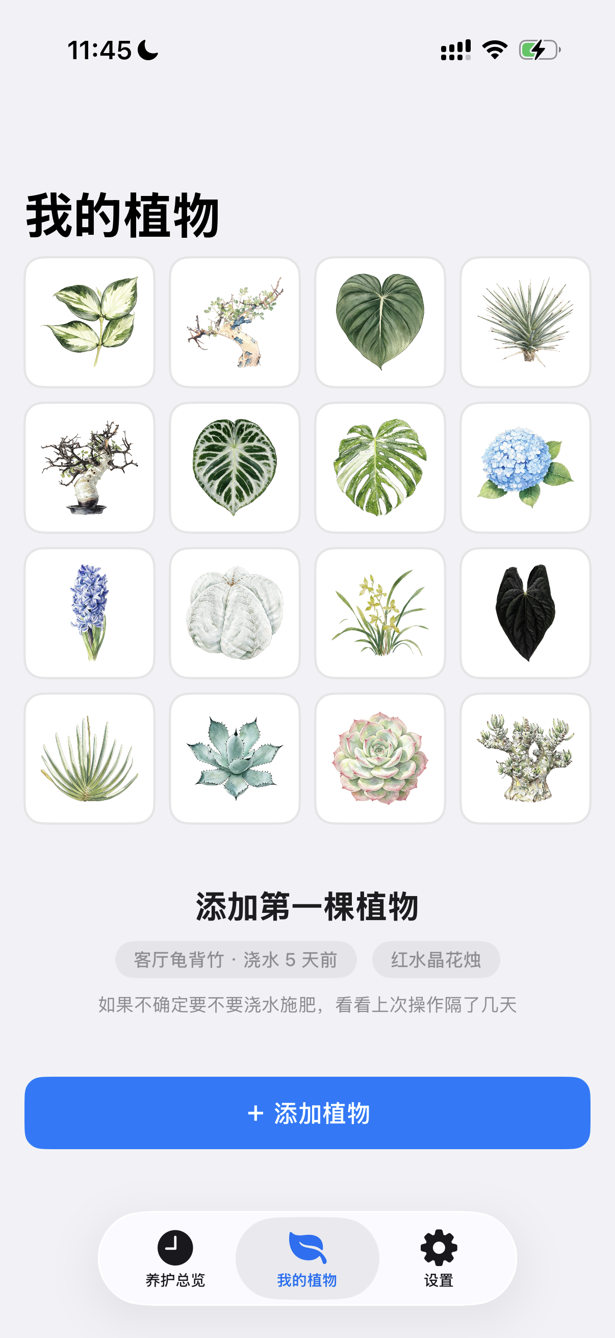 花序 inflora · 我的植物