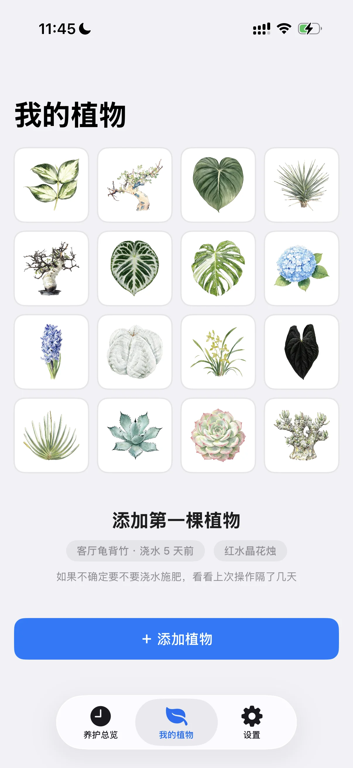 花序 inflora · 我的植物
