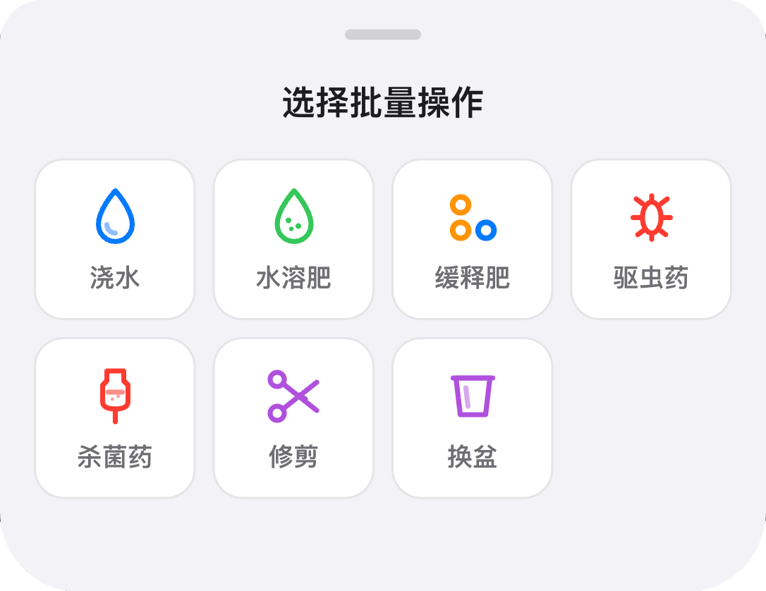 选择批量操作