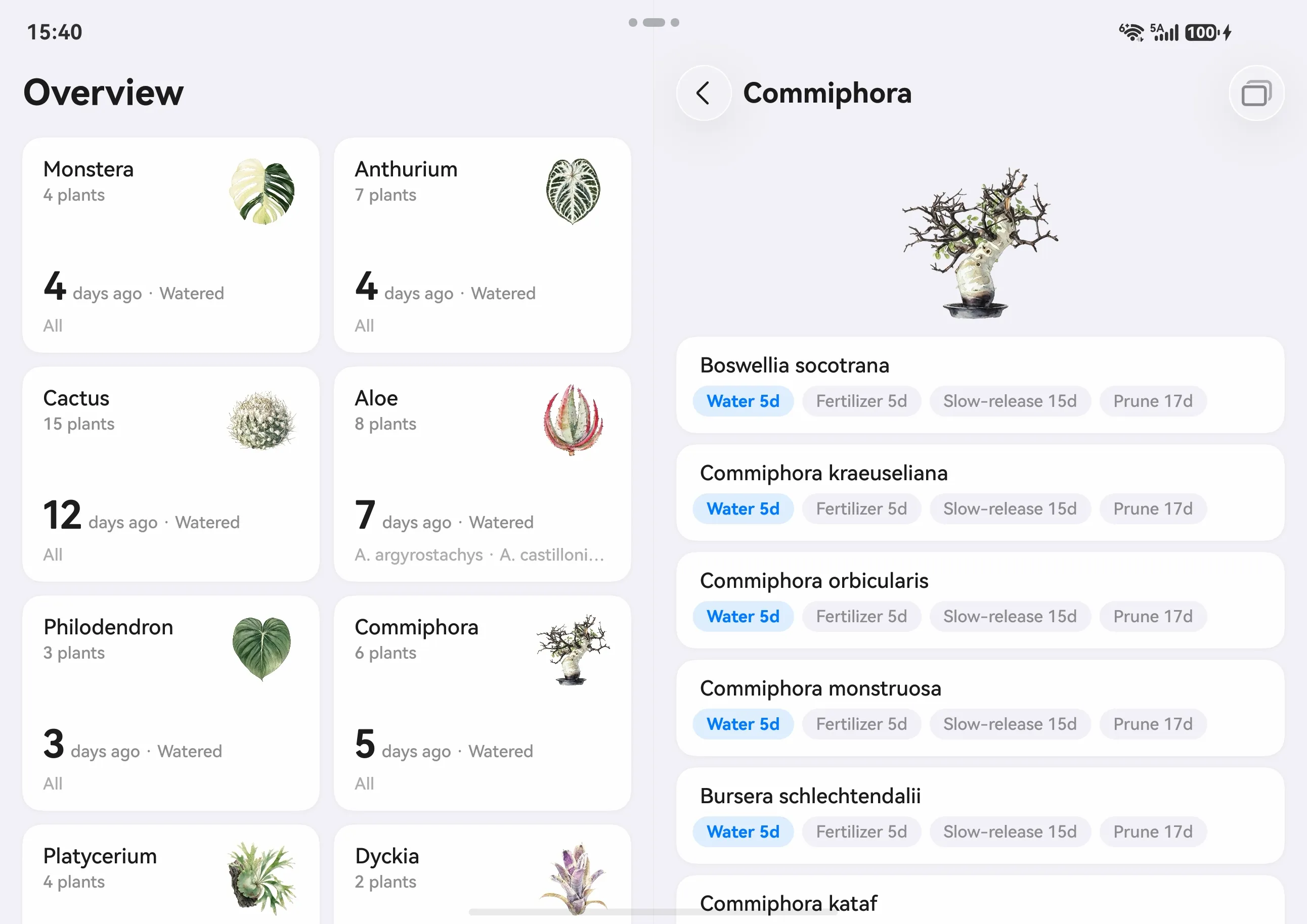 Care Overview on a foldable, unfolded