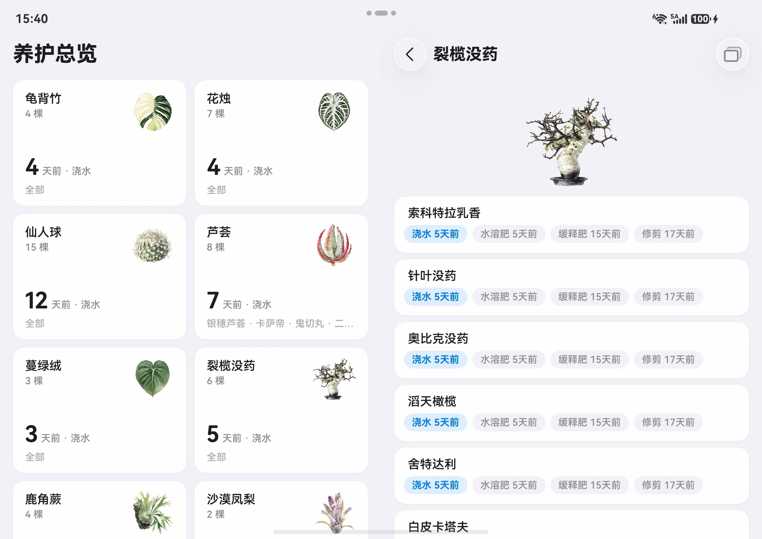 折叠屏展开 养护总览