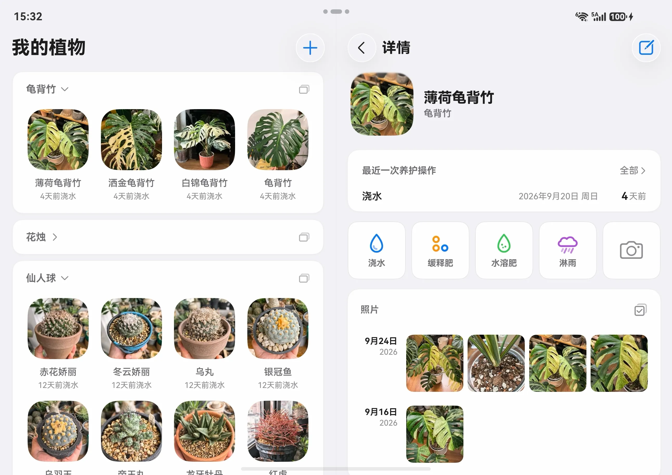 折叠屏展开 我的植物