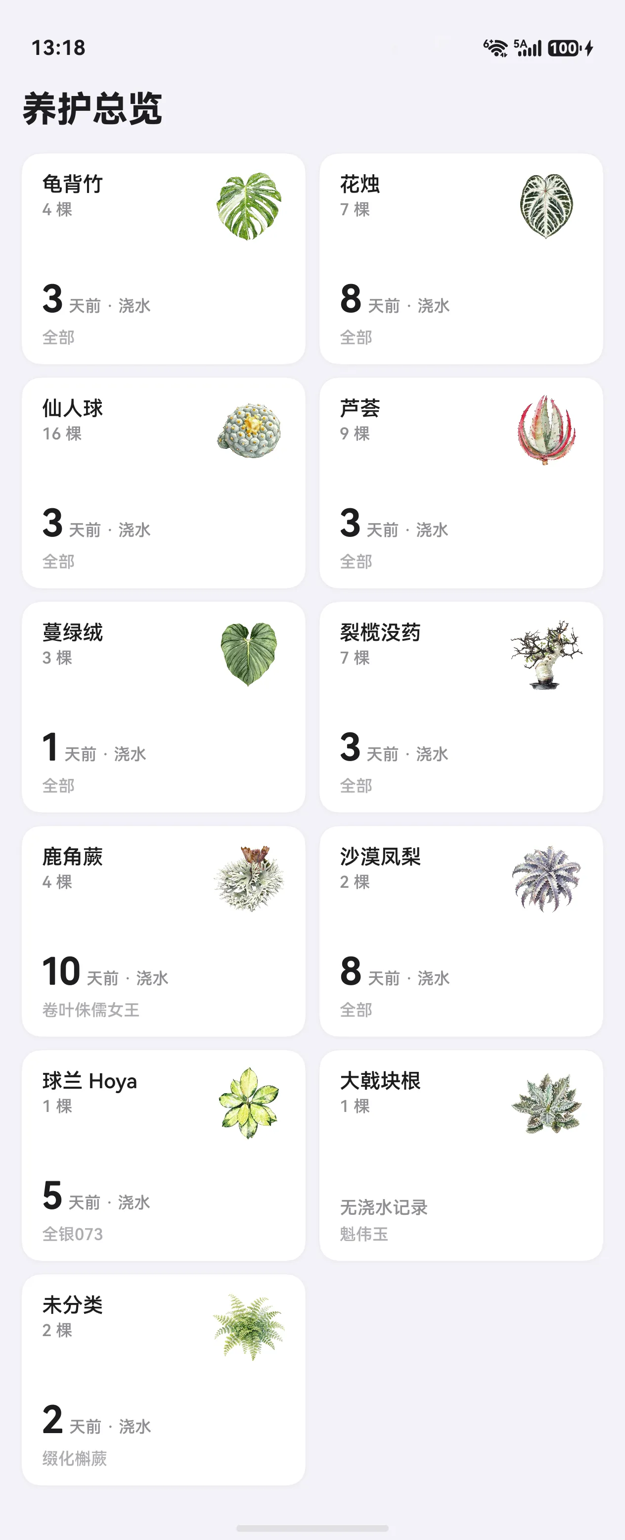 养护总览