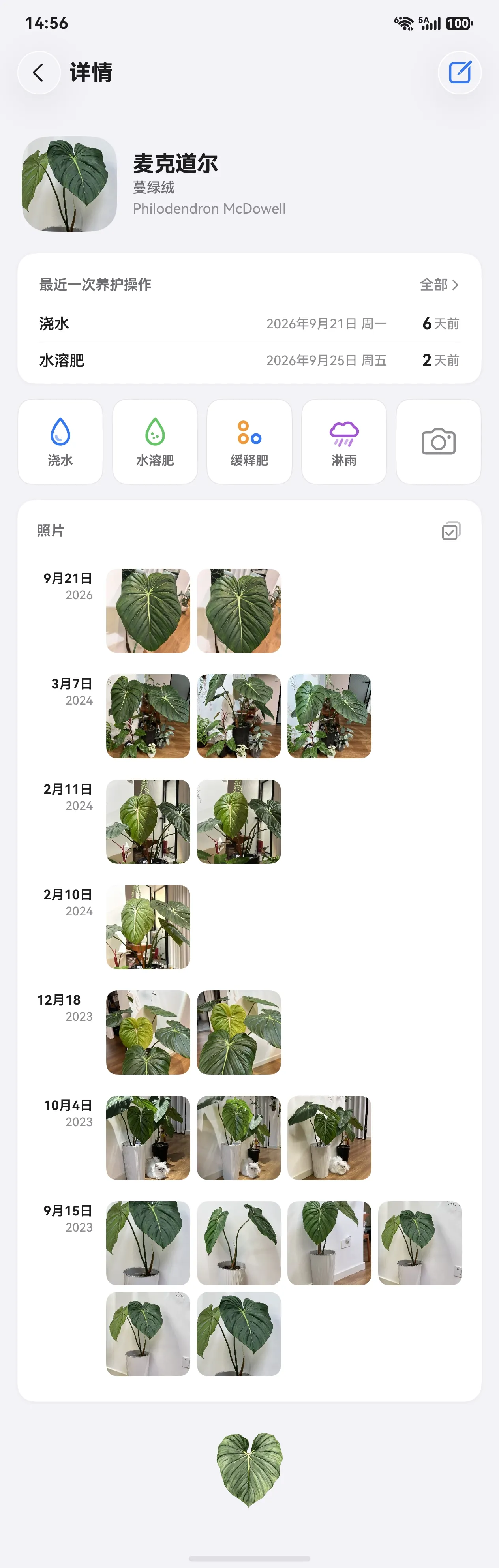 植物详情