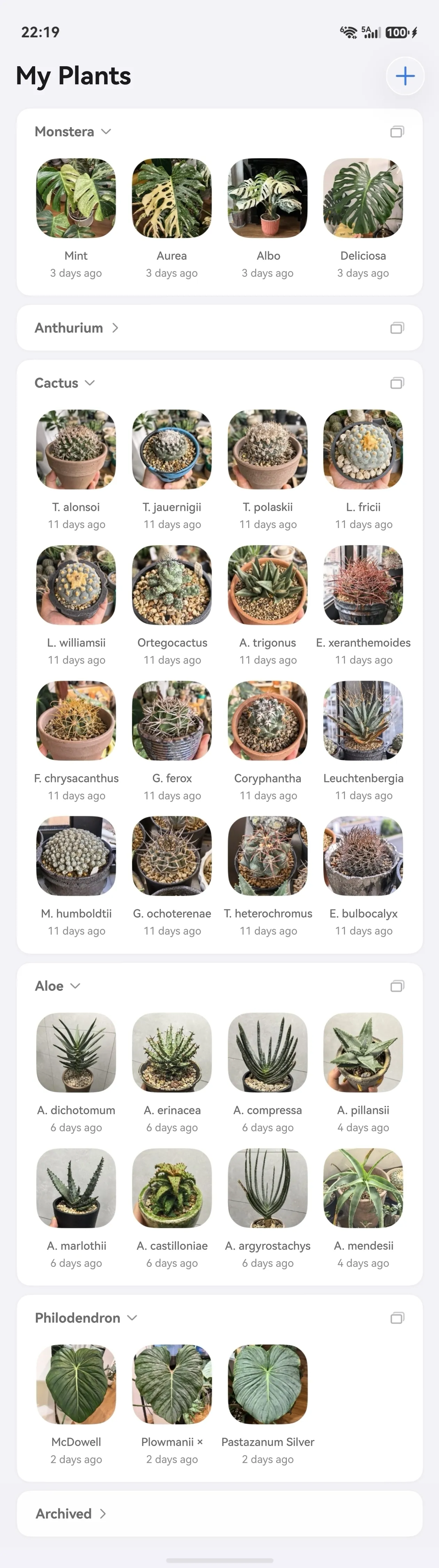 My Plants