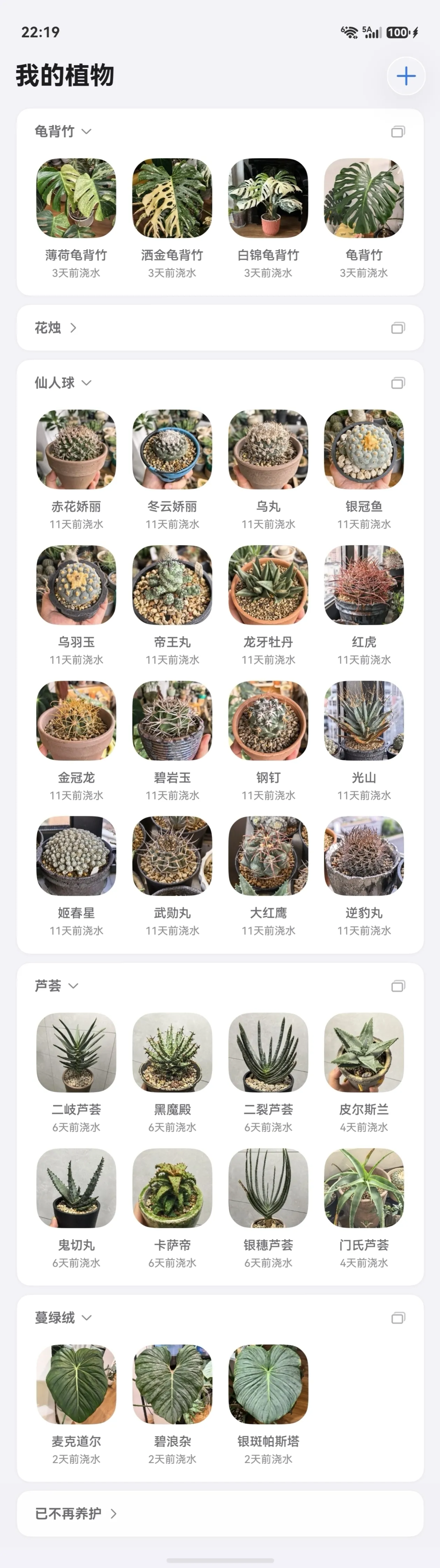 我的植物