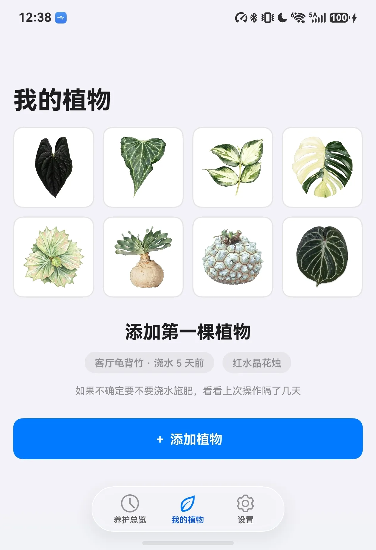 直板手机 我的植物