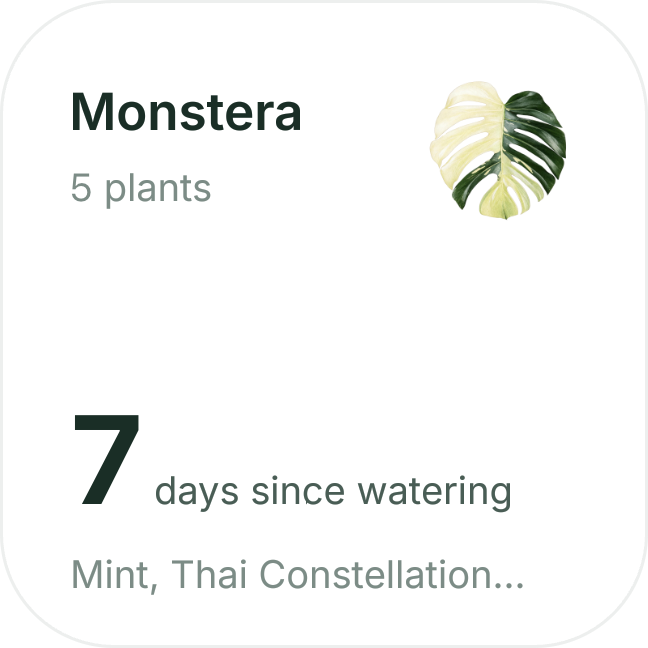 iOS widget: Monstera, 5 plants, 7 days since watering
