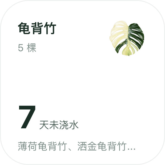 iOS 桌面小组件:龟背竹 5 棵,7 天未浇水