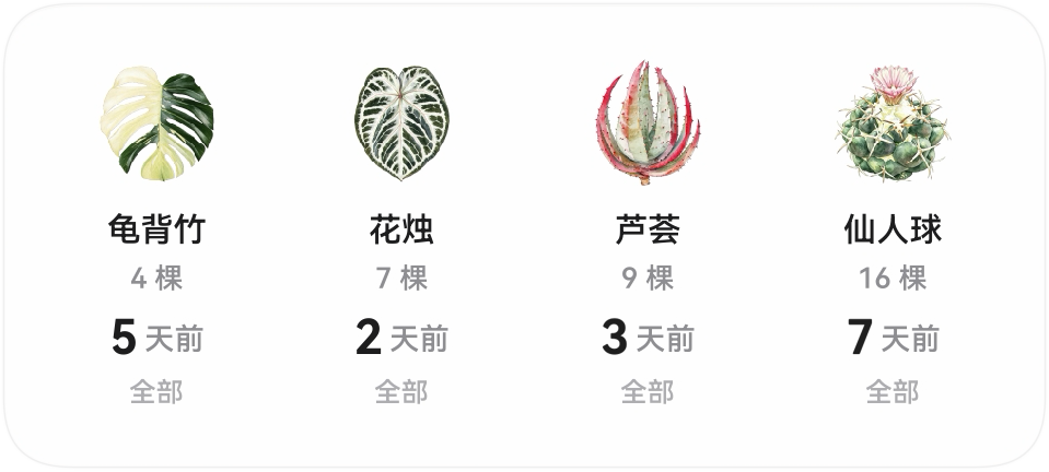 中号桌面卡片：龟背竹、花烛、芦荟、仙人球